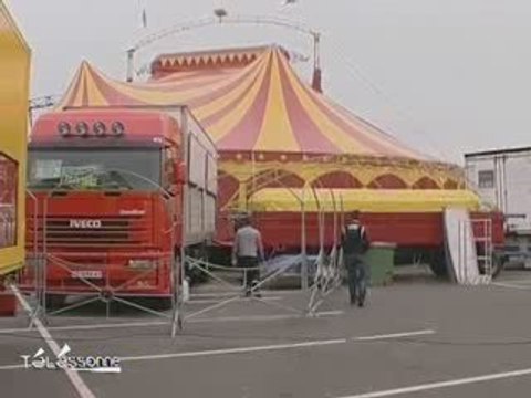 Les lionnes du cirque Zavatta se font la belle (Essonne)