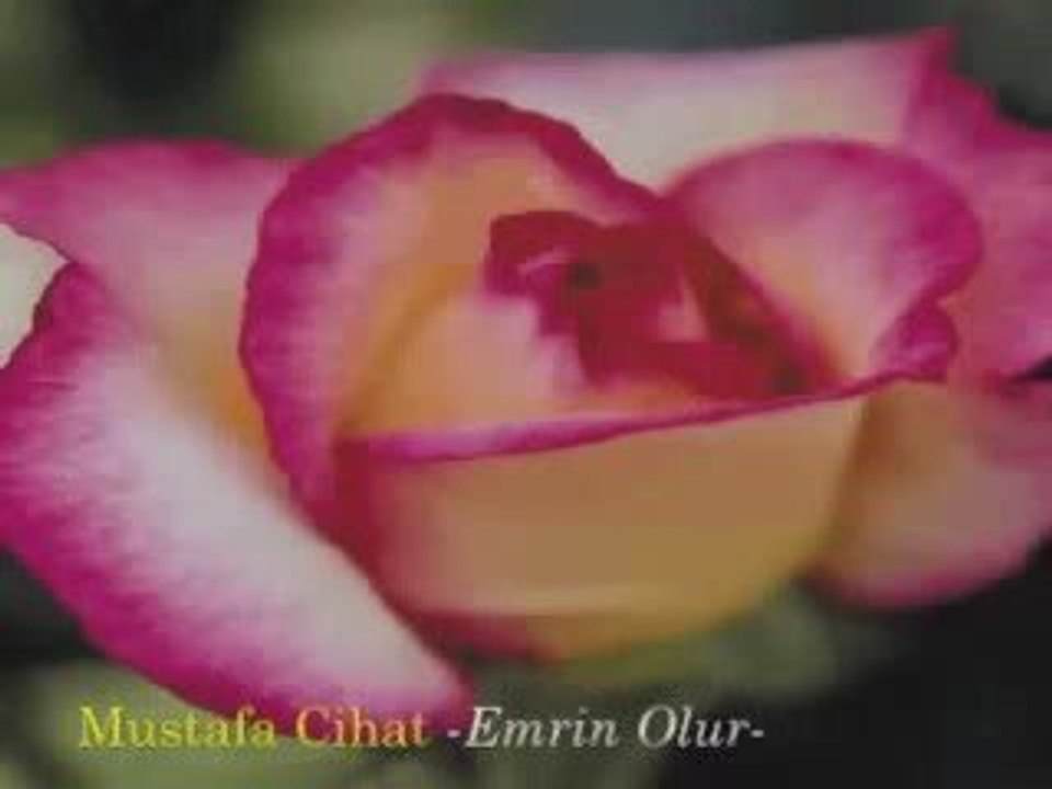 Mustafa Cihat Emrin olur