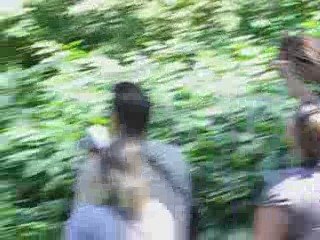 Mon Saut à l'élastique