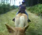 Galop en balade