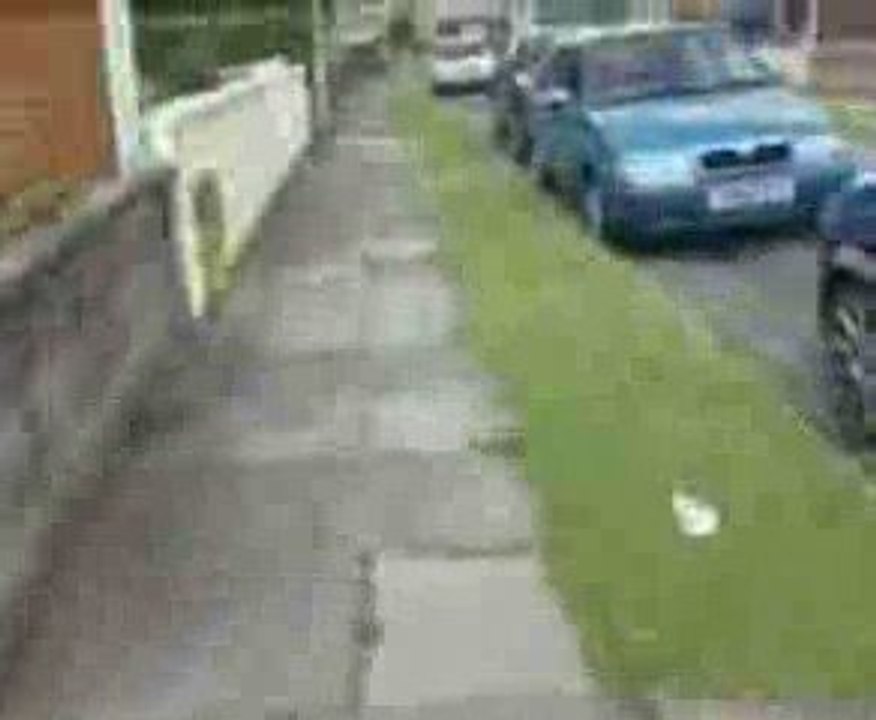 Comedy Couple - Brandons Voice Breaks For A Day