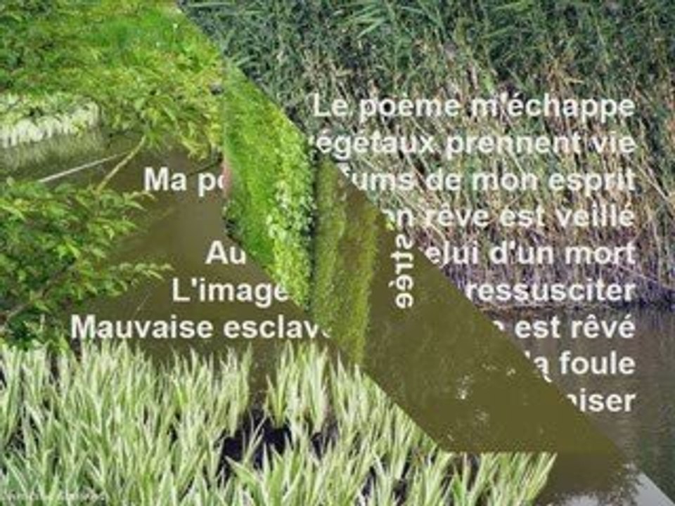 MESSAGE