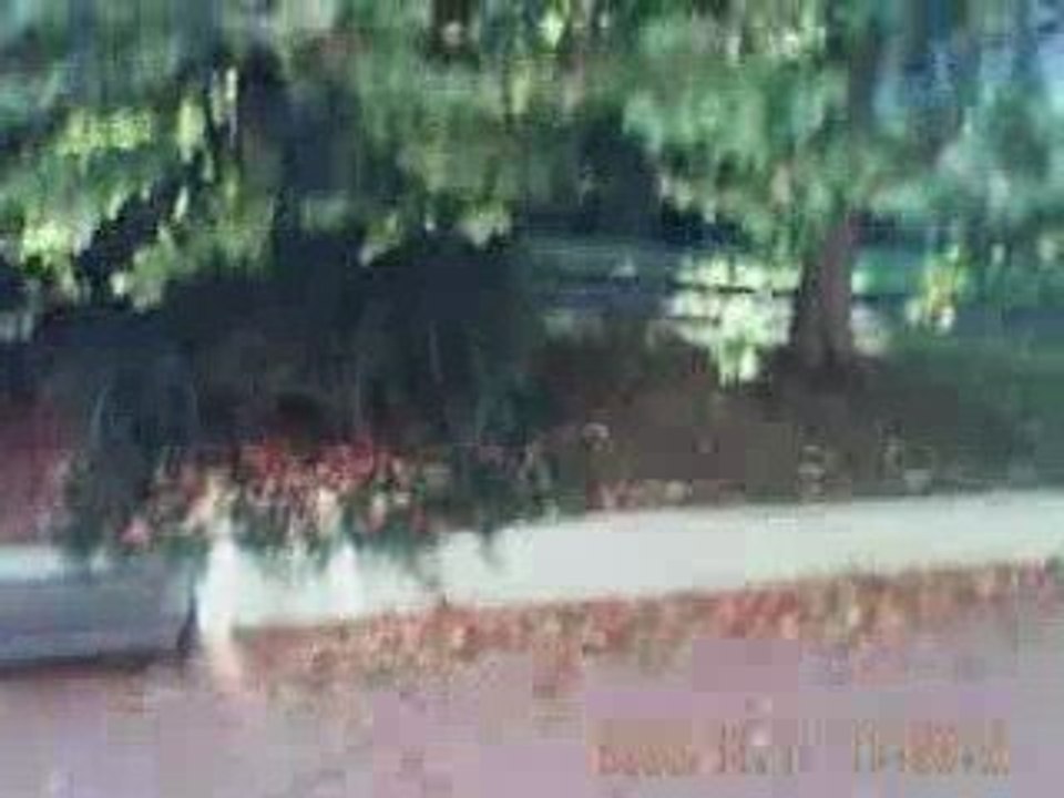 Test exterieur Gum Cam + Lama v3