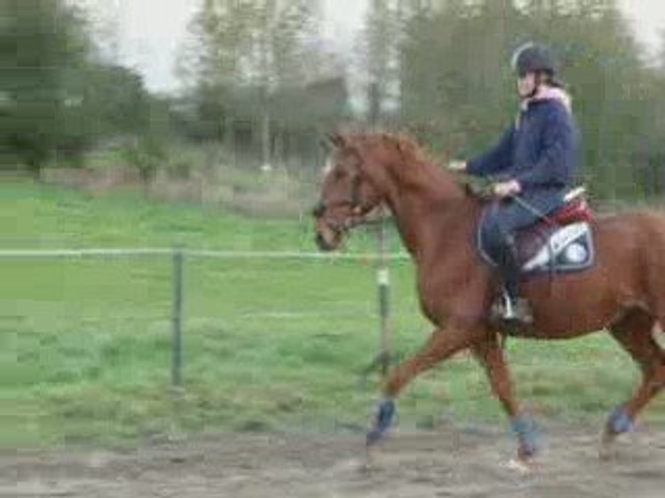 17-10-2009  Vodka citron des pres d'eves