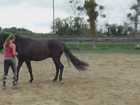 déplacement hanches, épaules