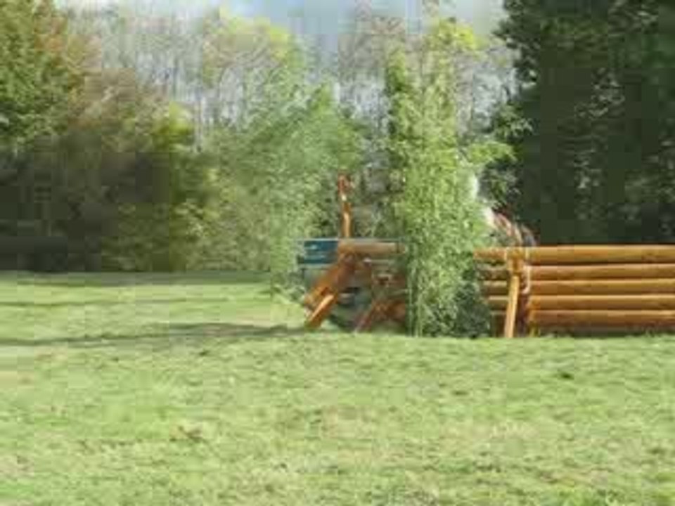 Obstacle "Les Brooks"