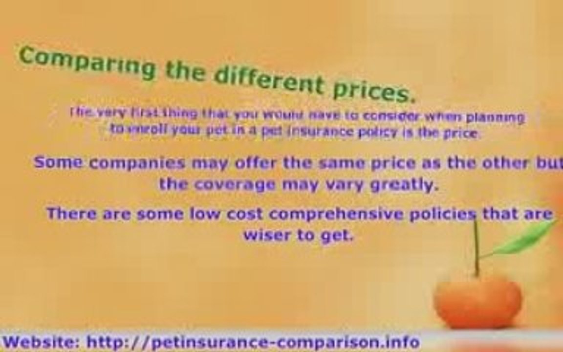 3 Tips to  Pet Insurance Comparison Shopping