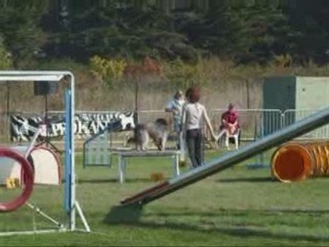 City 5eme Concours Agility