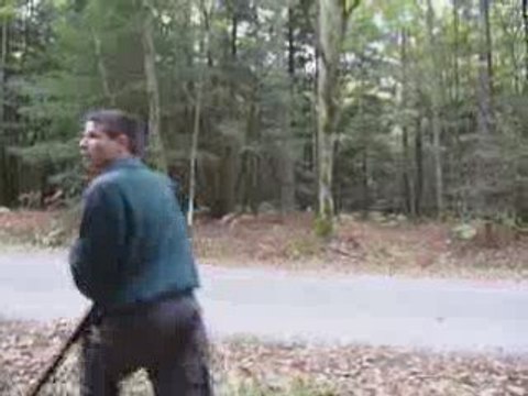 Daguet 17 10 2009 bois d Aché ECOUVES TECKELS POIL DUR