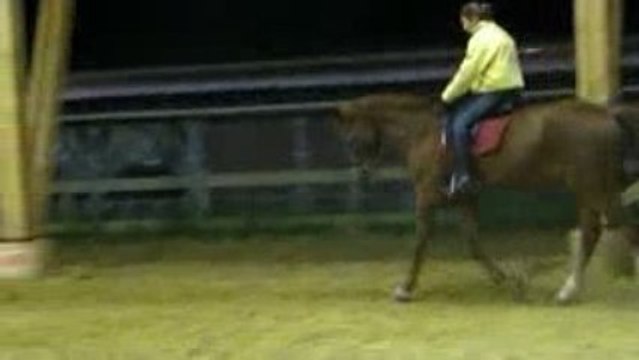 Appuyer au trot Iris