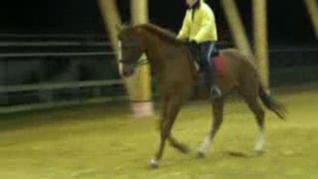 Travail au galop Iris