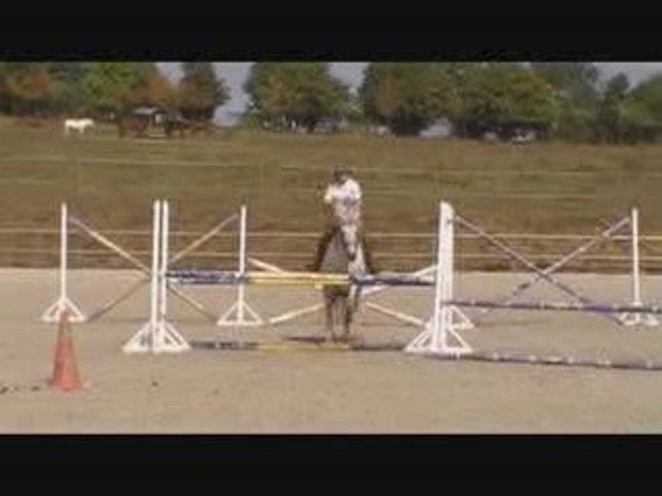 rentrée des cavaliers