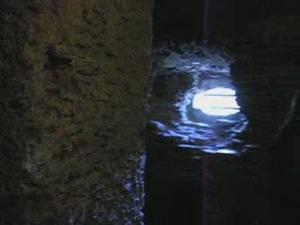 grand escaliers
