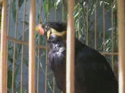 leçon de chinois à l'hotel Double Happyness à Pékin