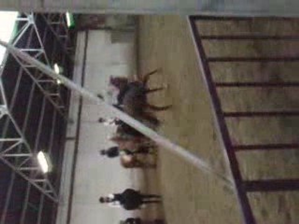 Hainaut Cristal Jumping Club (l)
