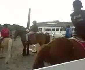 Hainaut Cristal Jumping Club (l)
