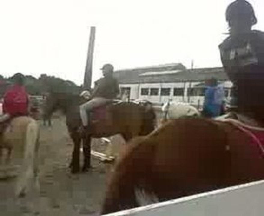 Hainaut Cristal Jumping Club (l)