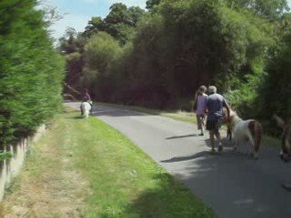 sortie matinale sous le soleil !