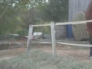 cours de 15h aux bouchauds