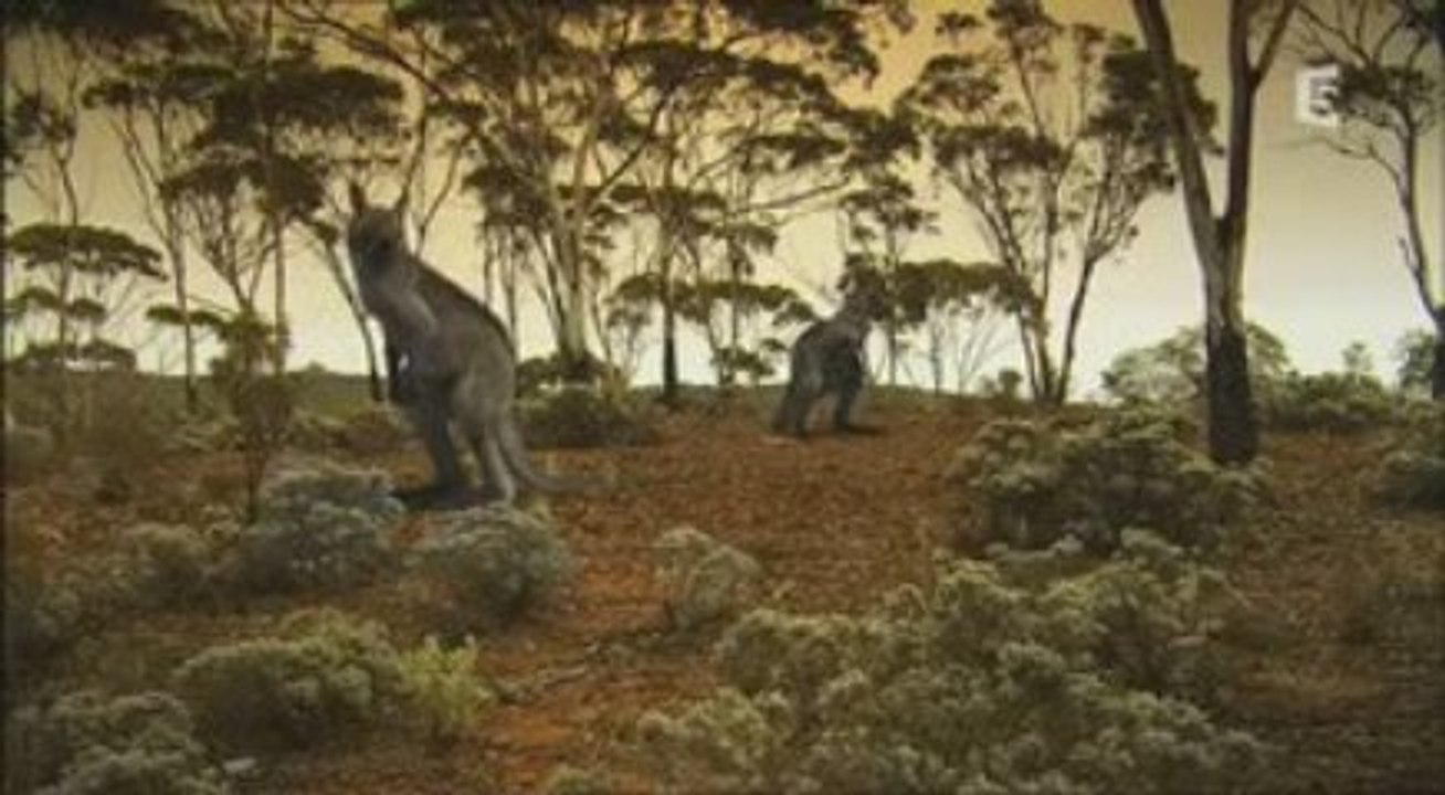 Les geants d'Australie p3