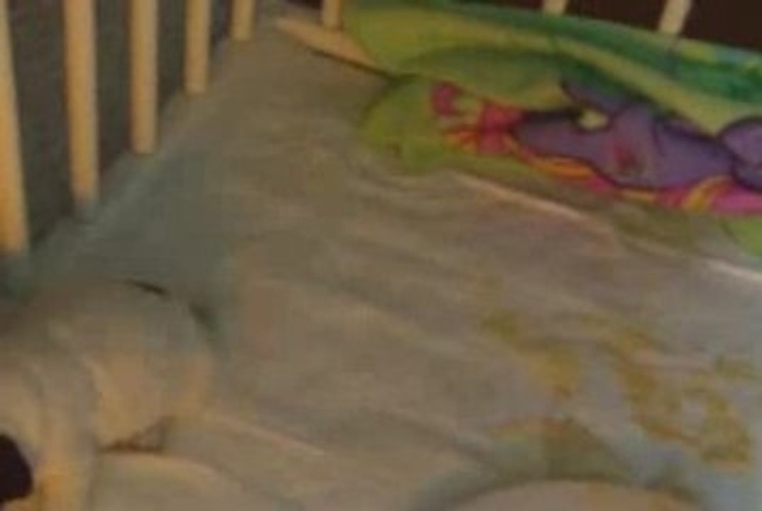 LA première portée de Kap'KanaY à 3 semaines