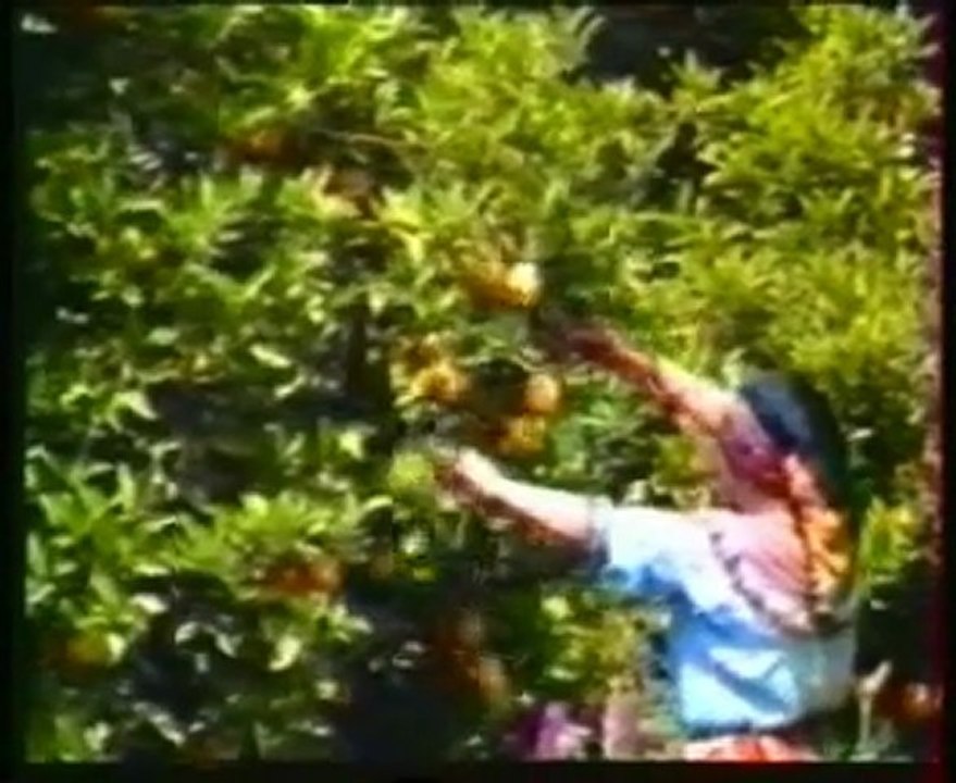 musique kabyle jedjiga tayri