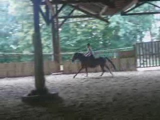 rani au galop a gauche