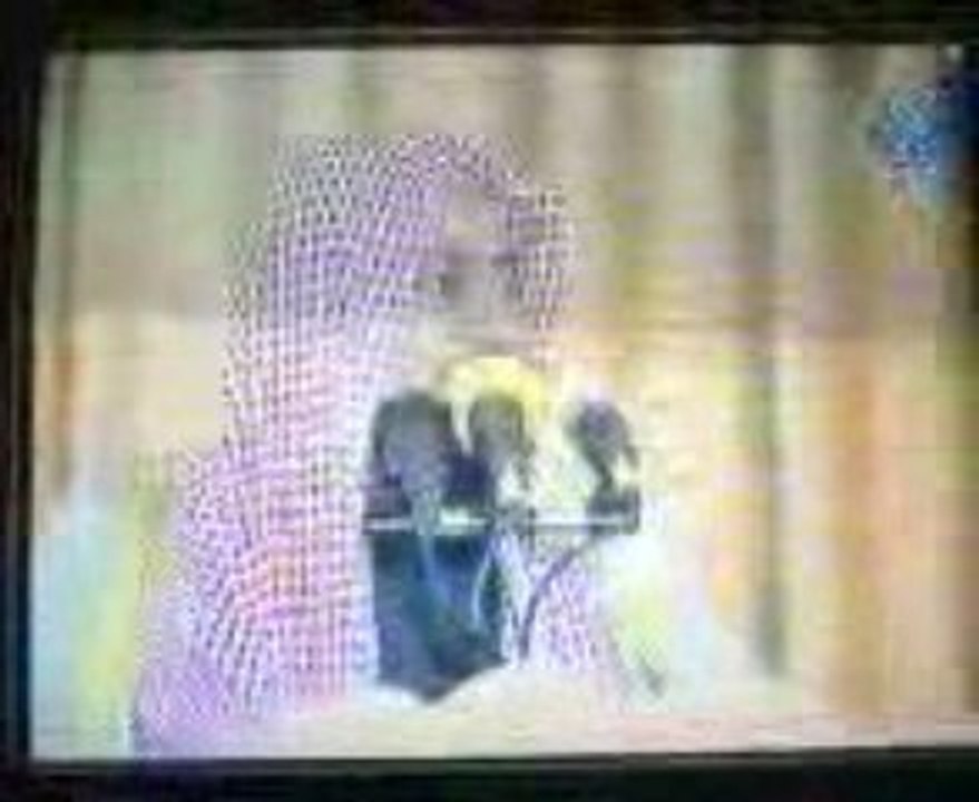 alertes !! les sunnites se convertissent au chiisme