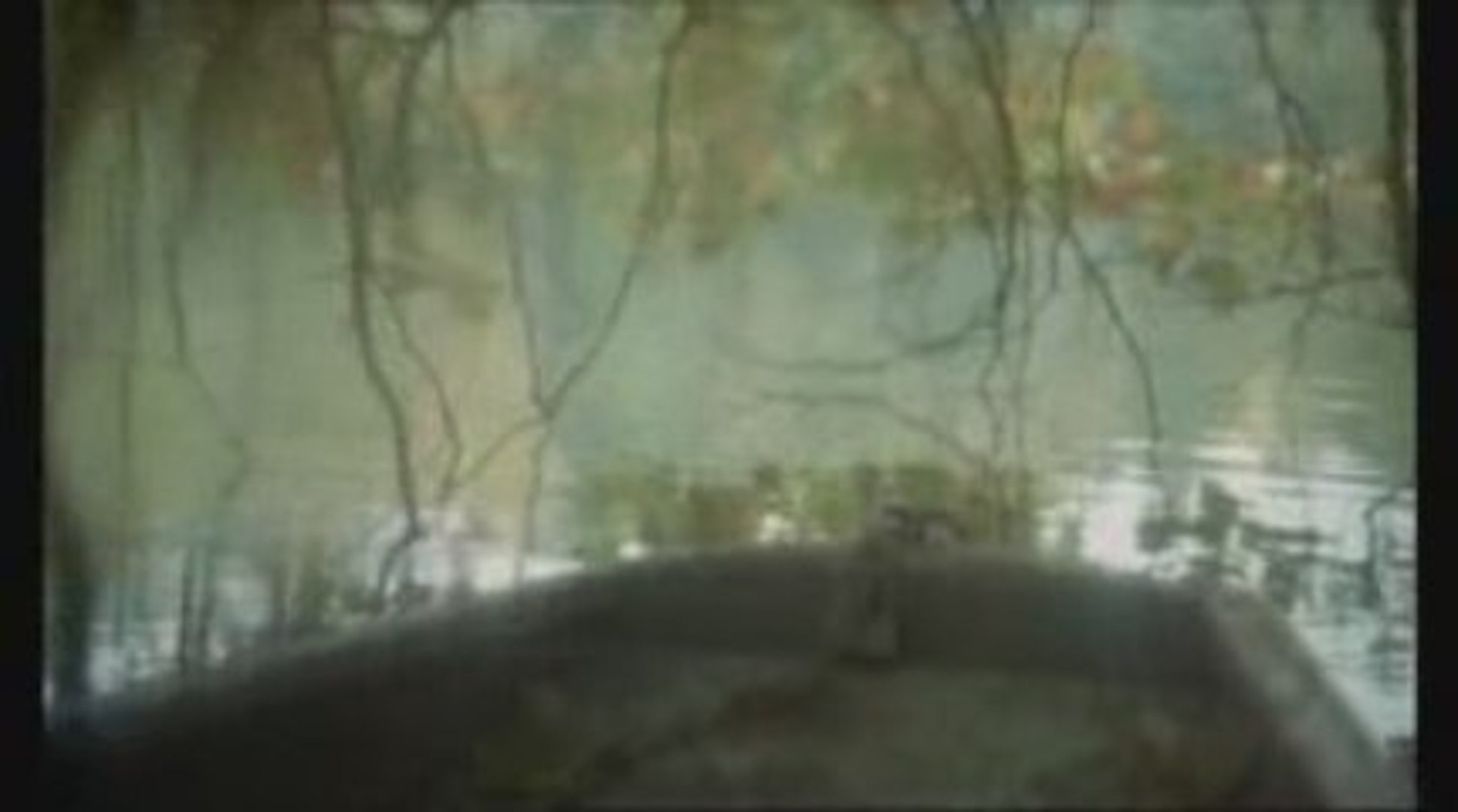 Le Chat 1 5 Video Dailymotion