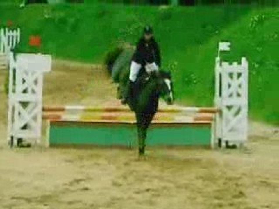 Elevage d'Acy en Concours.