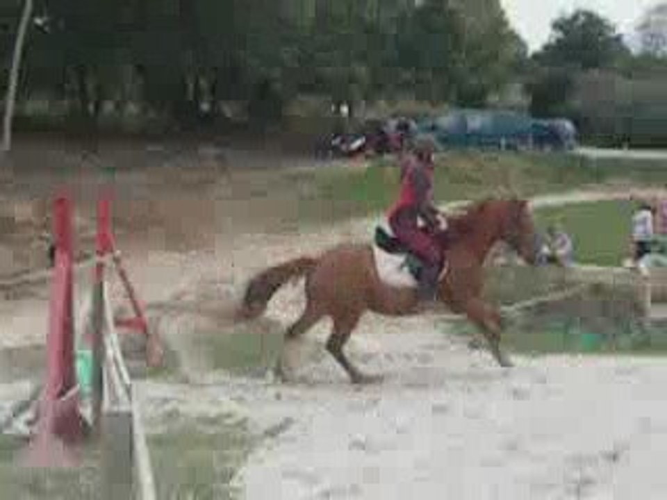 Mao au saut