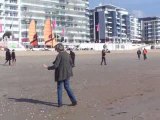 Cachou , bichon maltais, à la plage de La Baule