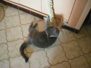 14ème vidéo de Sacha Coeur d'Velours