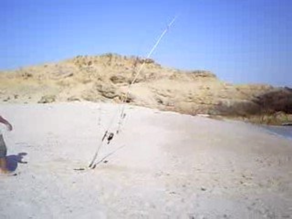 touche raie a khalluf (oman)