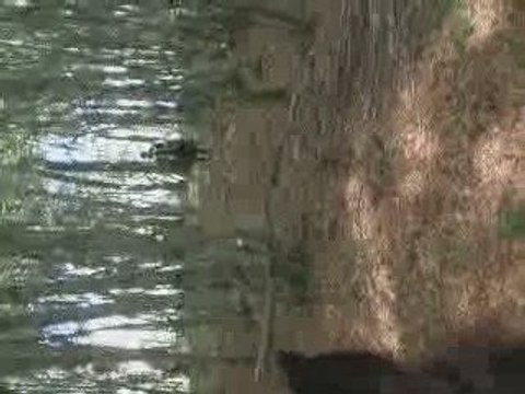 trec dan les bois =)