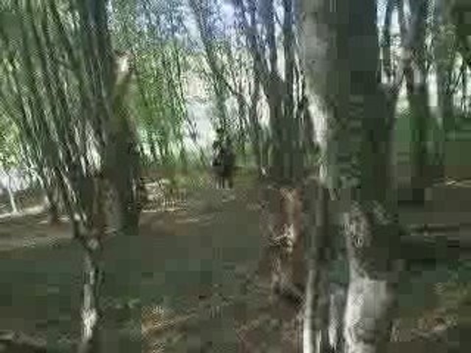 tit saut de moi et mon pouns