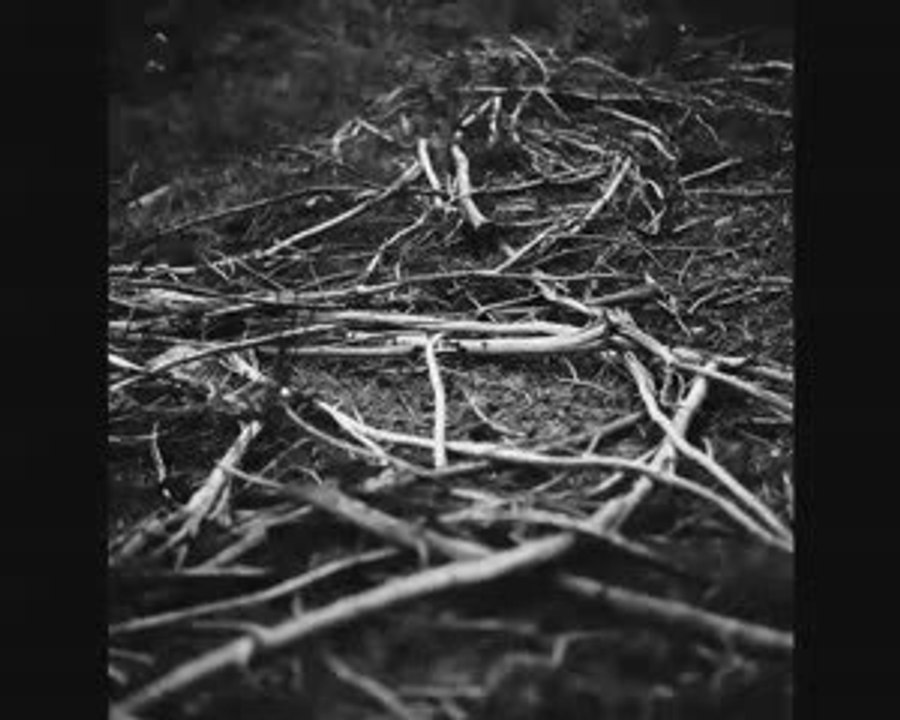 Diaporama pour les 18èmes Rencontres Photographiques du Pays de Lorient à l'Atelier d'Estienne, 2009.