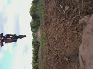 totor enorme saut