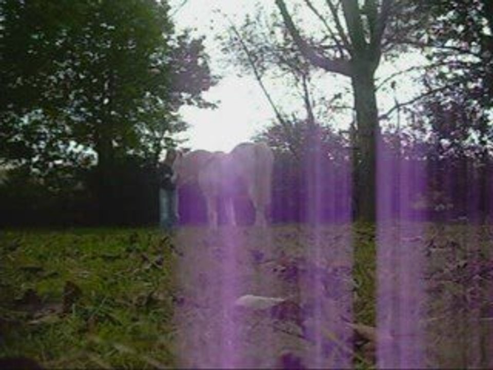 17 et 18 avec vénus_0001