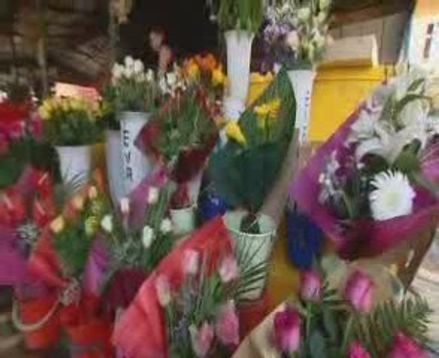 La route des Roms (2 2) - Les Roms