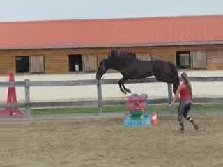 Quiator saut 2 oct 09