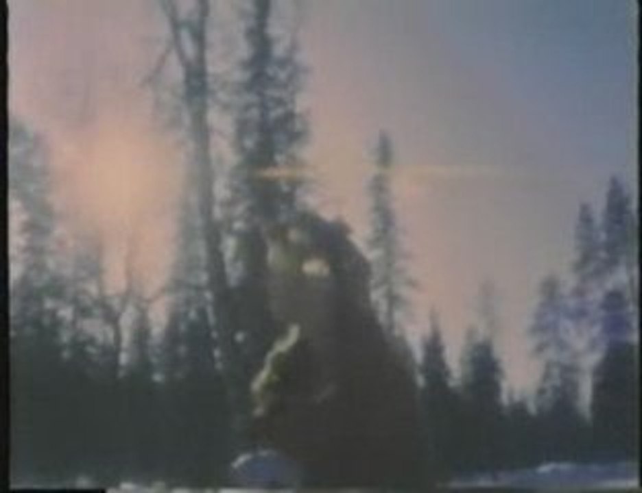 Nathalie Simard - Petit pomme sur le pommier