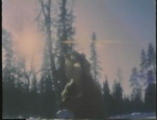 Nathalie Simard - Petit pomme sur le pommier