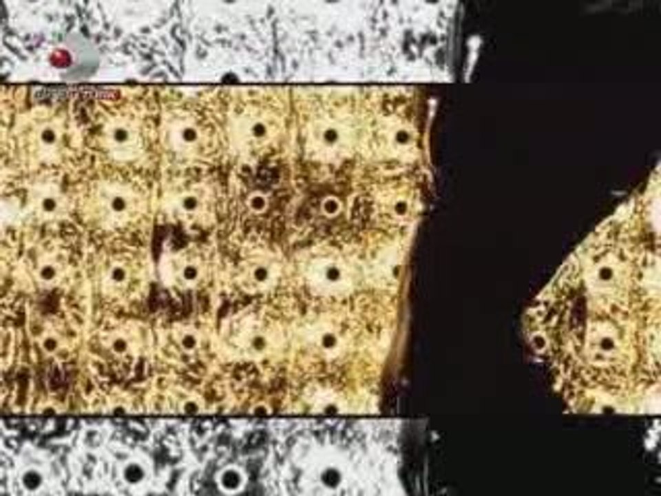 Gönen - Vesile