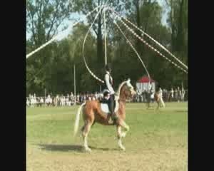 Fête du cheval Mackenheim 2009 (partie 2)
