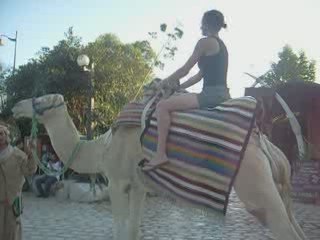 moi montage de chameau LOL
