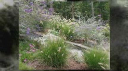 Water Garden and Waterfalls