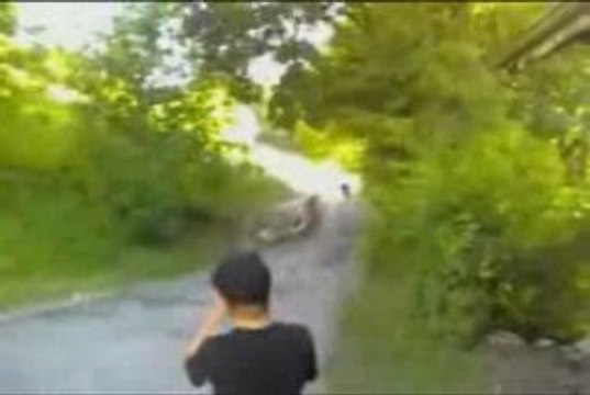 Boguet de hakim puch maxi n .... 100 kmh by ludo