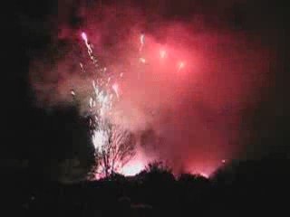 Spectacle Ronde des sangliers du 17.10.2009