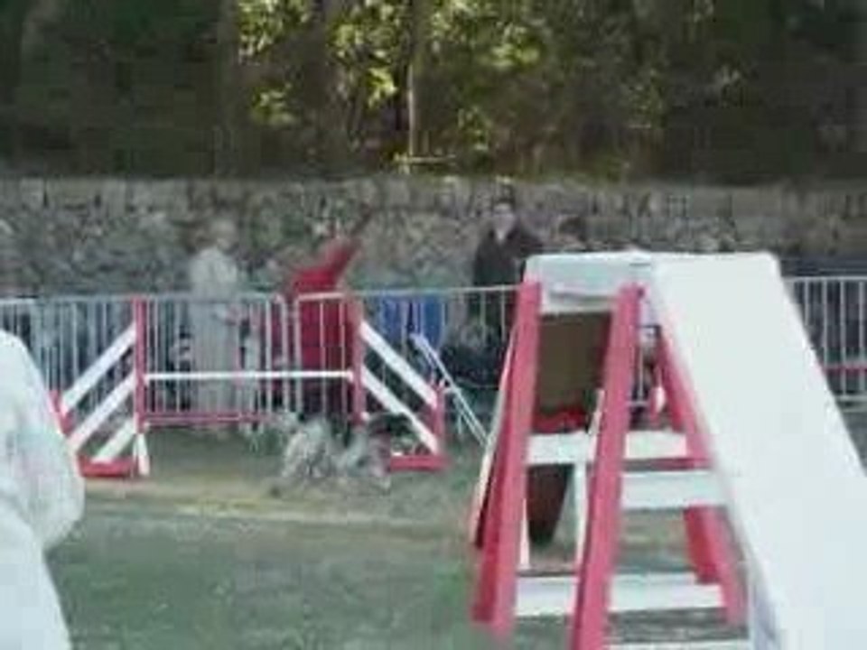 Brownie - Open Ollioules